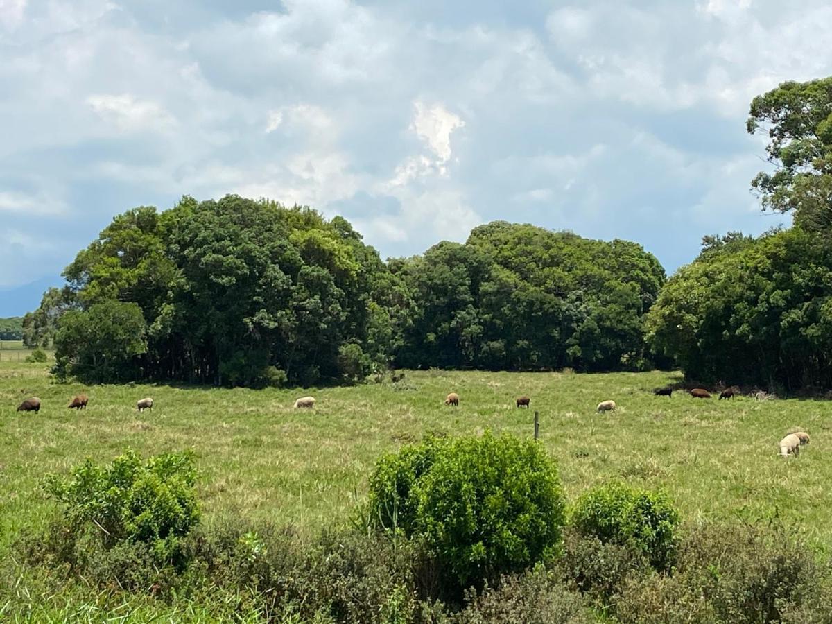 Haras Trevo De Ferro, Praia, Piscina E Campo Torres Exteriér fotografie